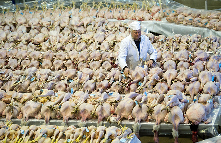 24 hours in pictures: Christmas Poultry Auction at Murton Livestock Centre, York
