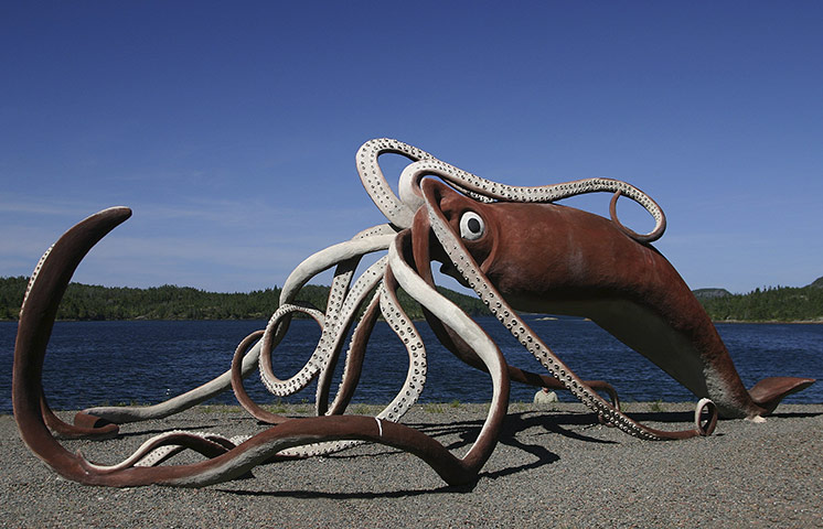 Newfoundland and Labrador: Newfoundland and Labrador Tourism