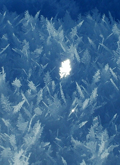 In pictures: sparkel: frost