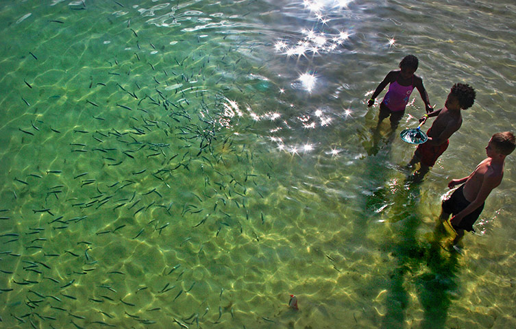In pictures: sparkel: Children fishing