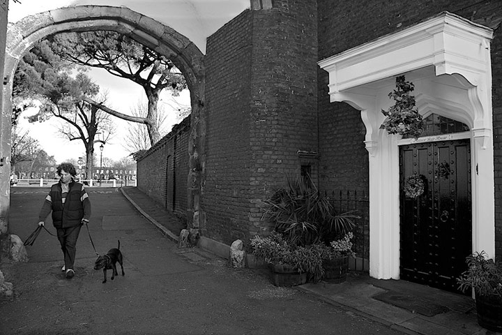 Guardian Camera Club: Pasha9 participates in the photographing your area assignment