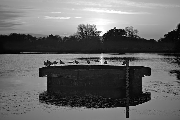 Guardian Camera Club: Pasha9 participates in the photographing your area assignment