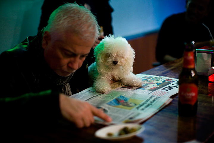24 hours in pictures: A man reads a newspaper with his dog in a bar in Barcelona, Spain