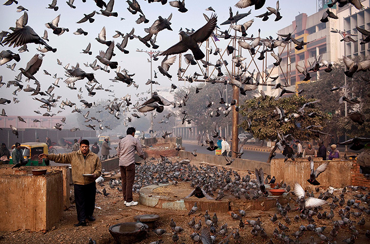 24 hours in pictures: Indian men feed birds on a cold morning in New Delhi, India