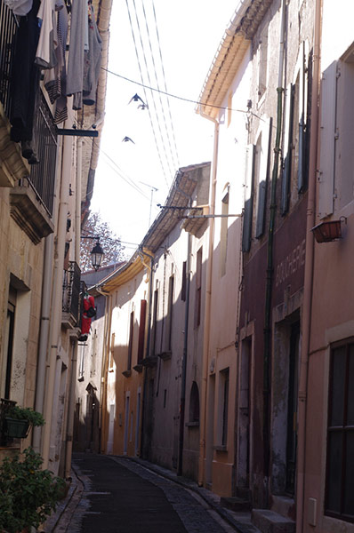 Guardian Camera Club: Teleri Williams participates in the photographing your area assignment