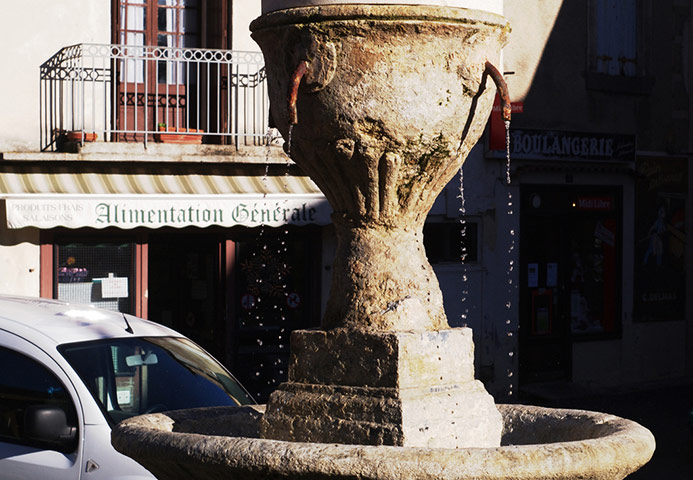 Guardian Camera Club: Teleri Williams participates in the photographing your area assignment