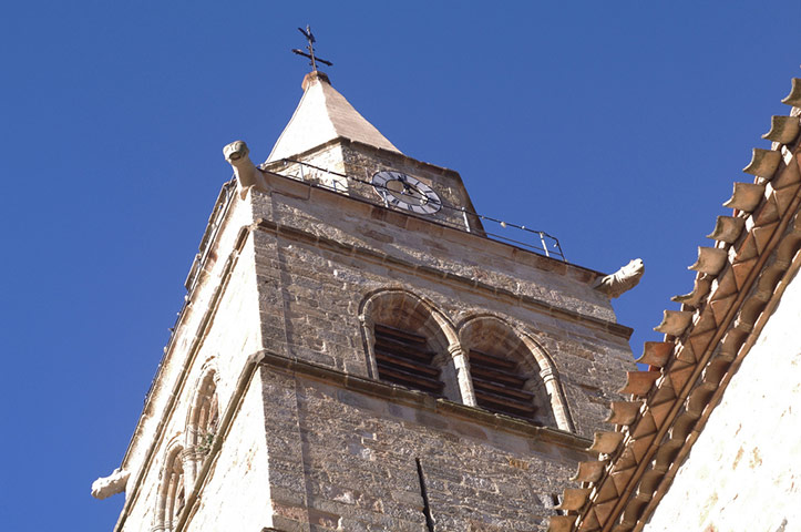 Guardian Camera Club: Teleri Williams participates in the photographing your area assignment