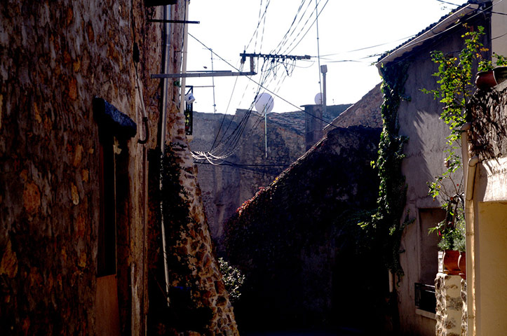 Guardian Camera Club: Teleri Williams participates in the photographing your area assignment