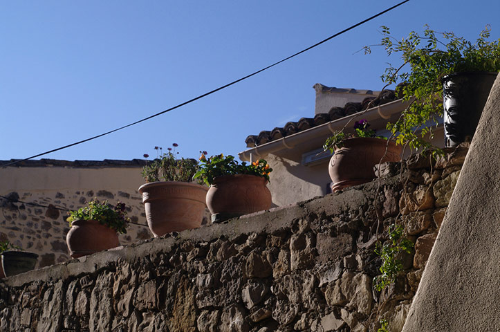 Guardian Camera Club: Teleri Williams participates in the photographing your area assignment