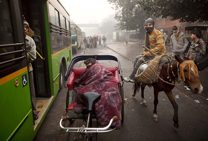24 hours in pictures: New Delhi, India: A labourer rides his mule