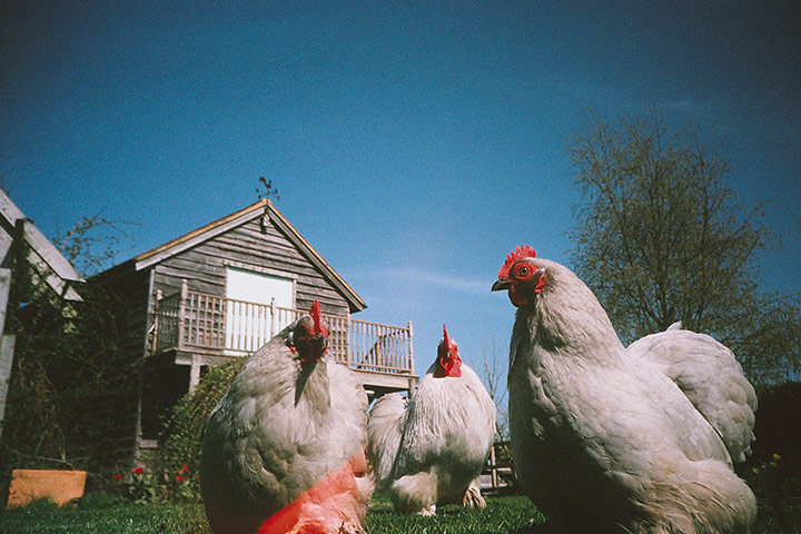 Lomographer: Tom Welland's Lomo picture gallery