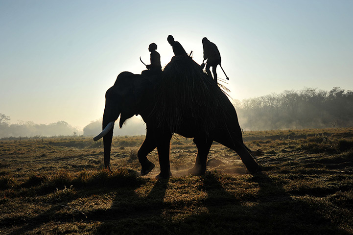 24 hours in pictures: Chitwan, Nepal: Mahouts at Sauraha, a three-day long elephant festival