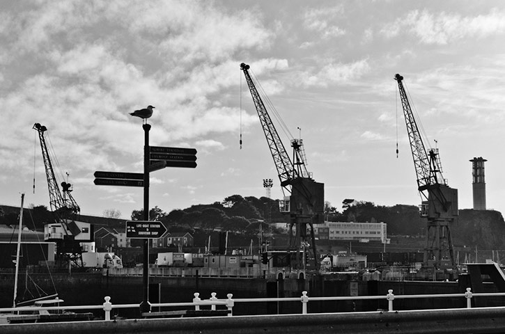 Guardian Camera Club: Marek Kunysz participates in the photographing your area assignment