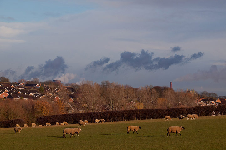 Guardian Camera Club: Pat Gregory participates in the photographing your area assignment