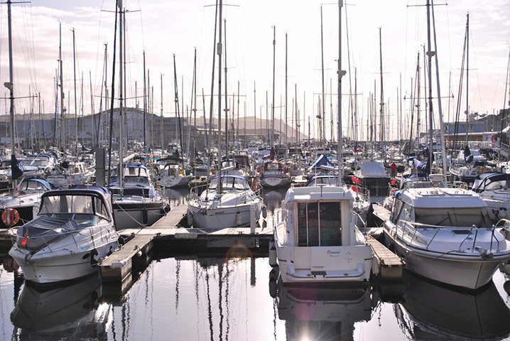 Guardian Camera Club: Rachel Warnock participates in the photographing your area assignment