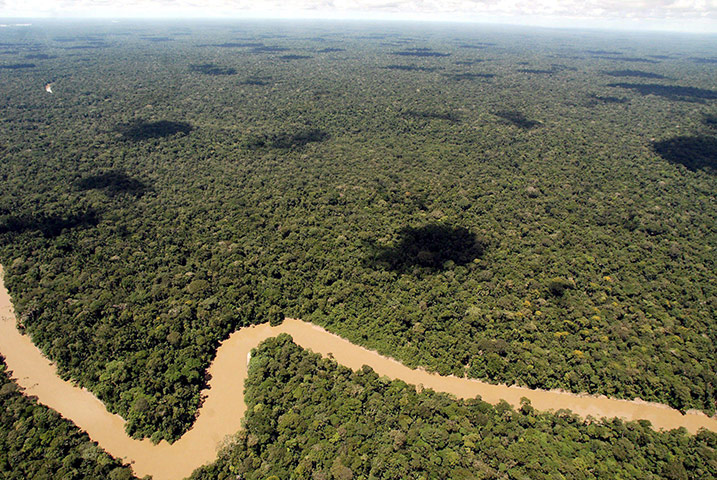 Yasuni National Park: Yasuni National Park in Ecuador