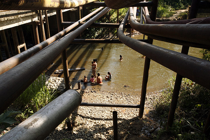 Yasuni National Park: Yasuni National Park in Ecuador