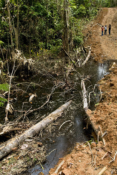 Yasuni National Park: Ecuador Seeks To Preserve Rain Forest Oil Field