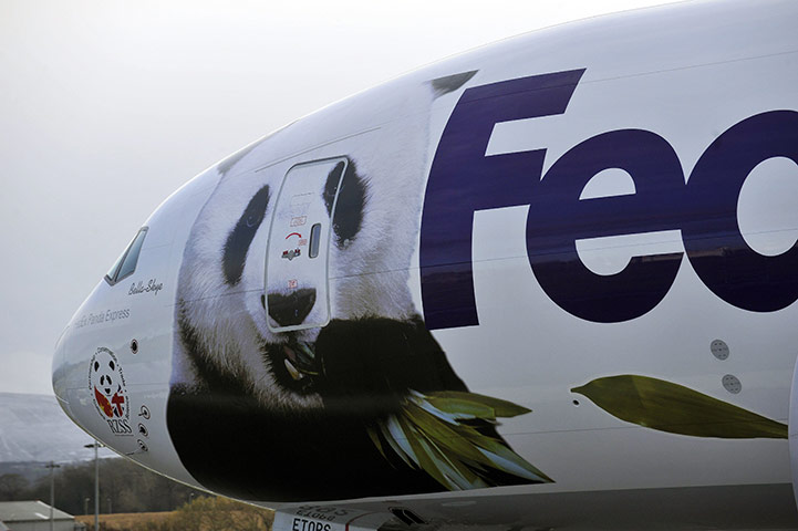 Pandas in Edinburgh: A plane bearing a picture of a giant panda arrives at the airport