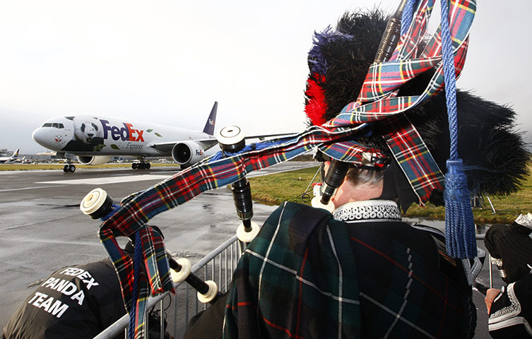 Pandas in Edinburgh: A bagpiper wathces the pandas arrive