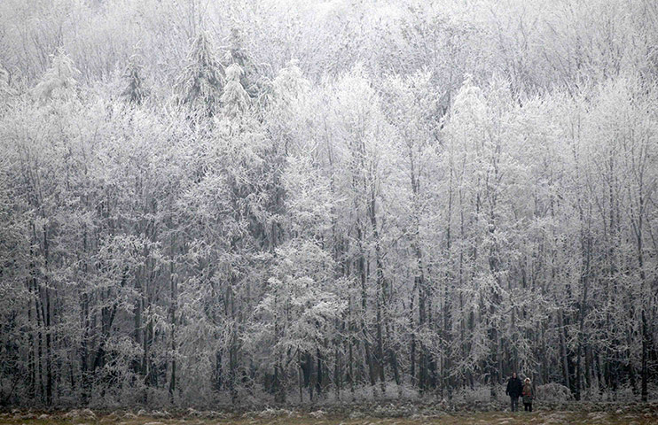 24 hours in pictures: Trees are covered with hoarfrost in the Wienerwald