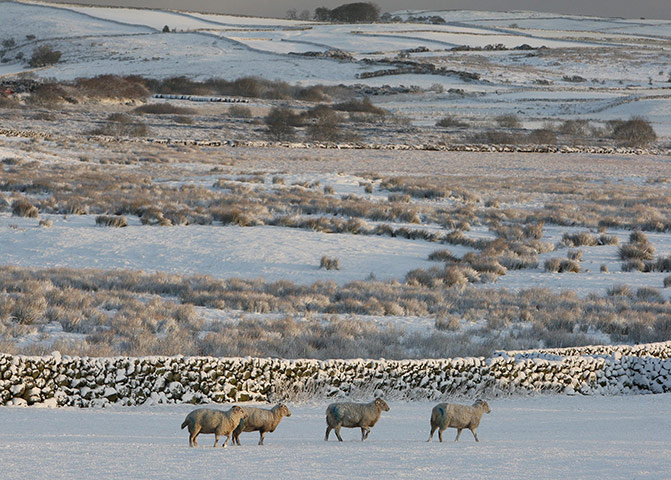 First snow in the UK : First snow in the UK 