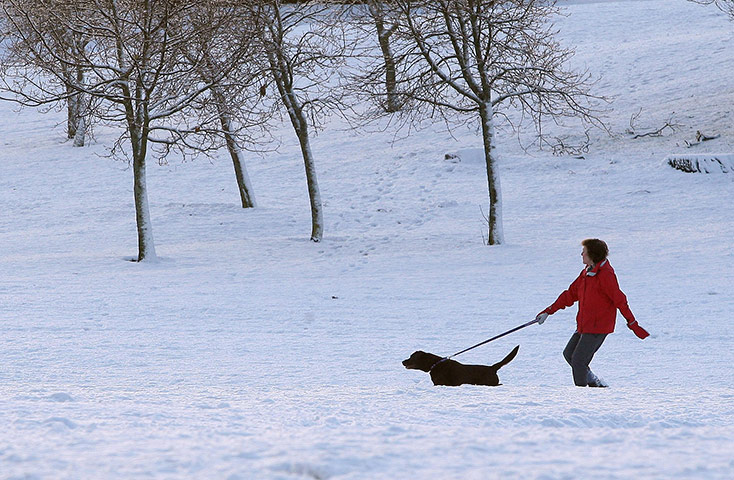 First snow in the UK : First snow in the UK 