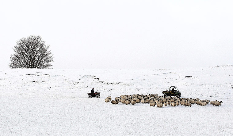 First snow in the UK : First snow in the UK 