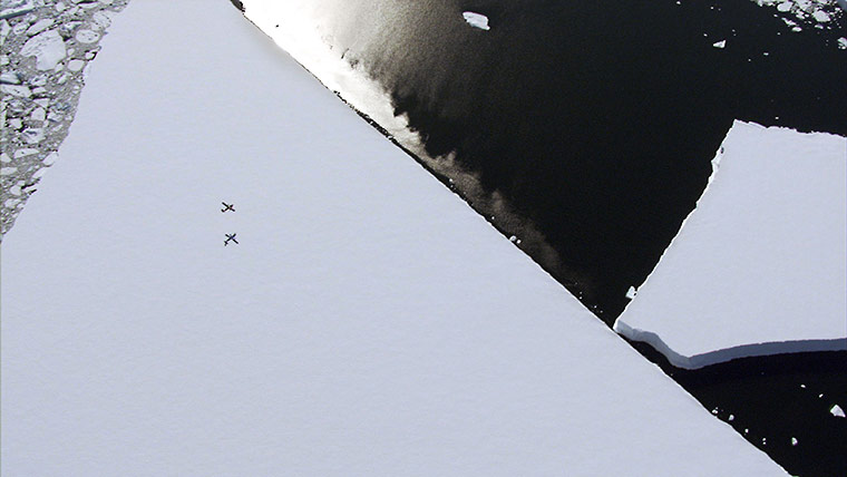 Frozen Planet 7: On Thin Ice