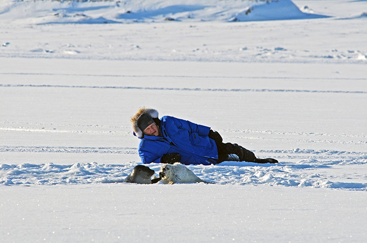 Frozen Planet 7: On Thin Ice