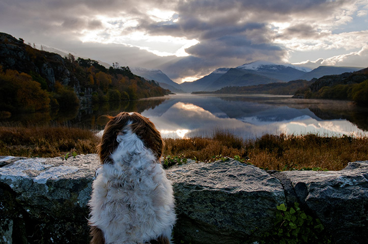 Landscape photographer : Do I like that view! Llyn Padarn, Snowdonia, Wales
