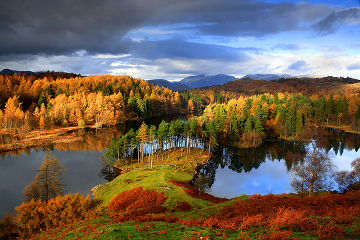 Landscape photographer : Tarns Hows in autumn, Cumbria, England