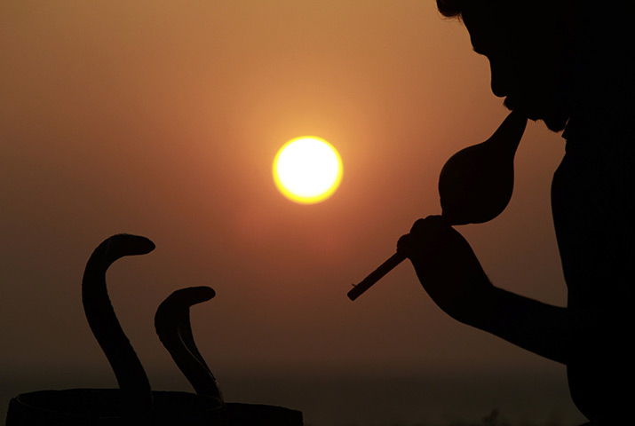 24 hours in pictures: A snake charmer performs at Galle Face Green in Colombo