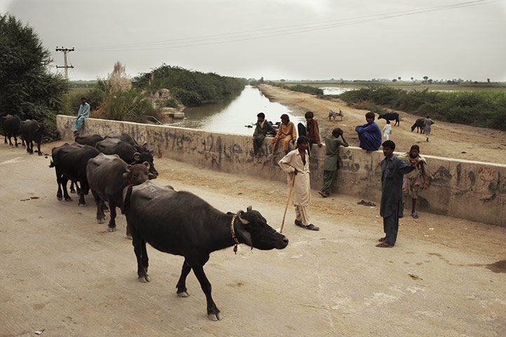 Pakistan: 100 Days On - Emergency Flood Response Sindh Province