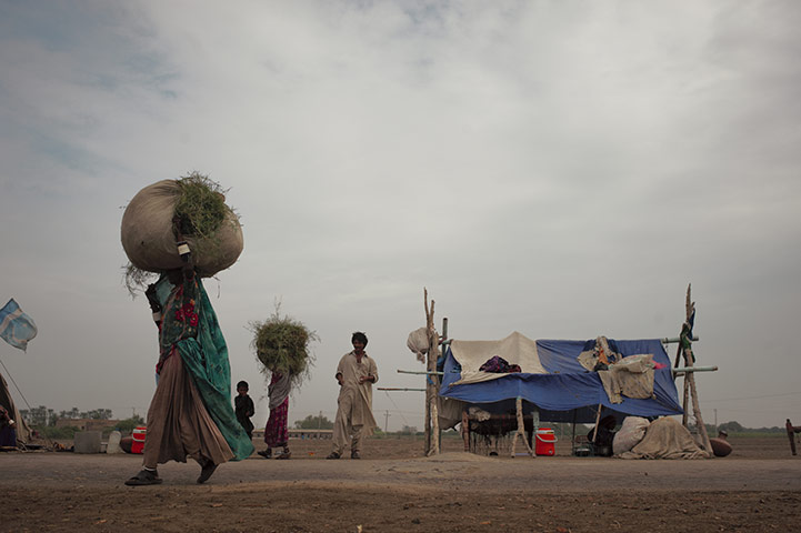 Pakistan: 100 Days On - Emergency Flood Response Sindh Province