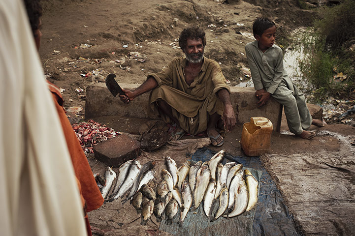 Pakistan: 100 Days On - Emergency Flood Response Sindh Province