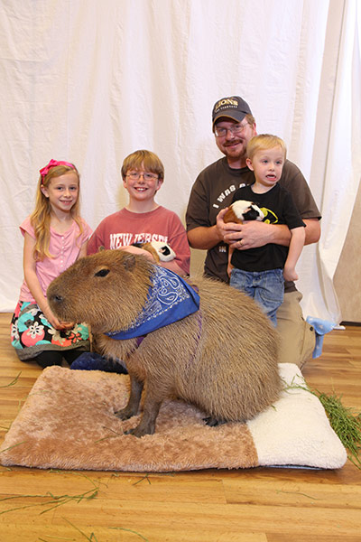 Awkward pet photos: Capybara