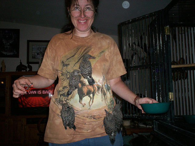 Awkward pet photos: Birds