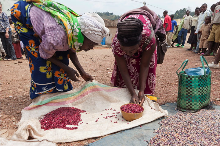 Smallholder farming in Rwanda