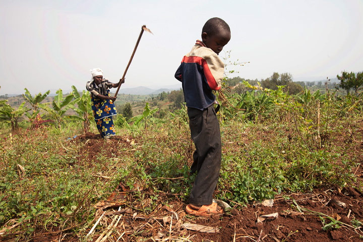 Smallholder farming in Rwanda