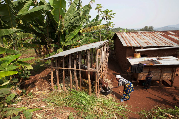 Smallholder farming in Rwanda