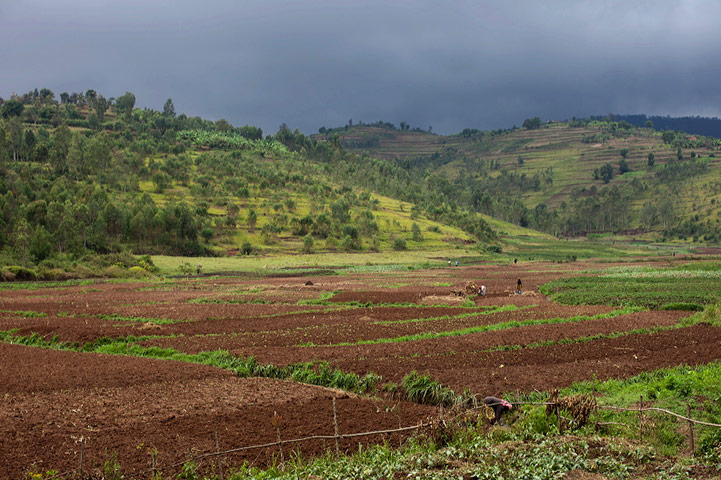 Smallholder farming in Rwanda