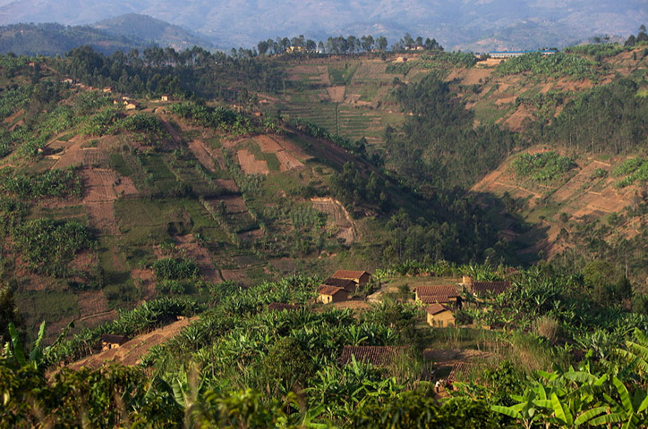 Smallholder farming in Rwanda