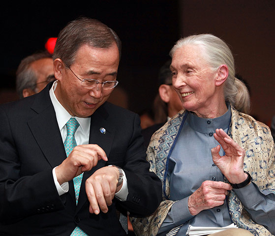 COP17 in Durban: Jane Goodall