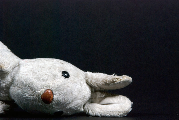 In pictures: fragile: toy