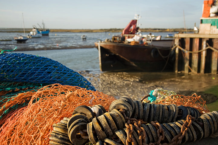 Guardian Camera Club: Louisa Hennessy participates in the photographing your area assignment