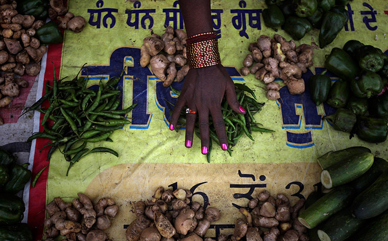 24 hours in pictures: A vegetable vendor sorts green chilli, India