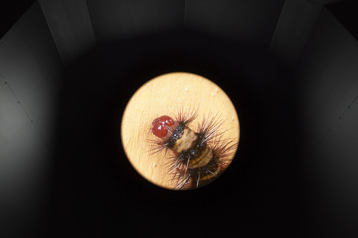 Exhibitionist1205: Lindsay Seers