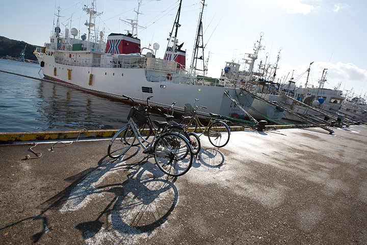 Shark fishing: longline fishing boats in Kesennuma