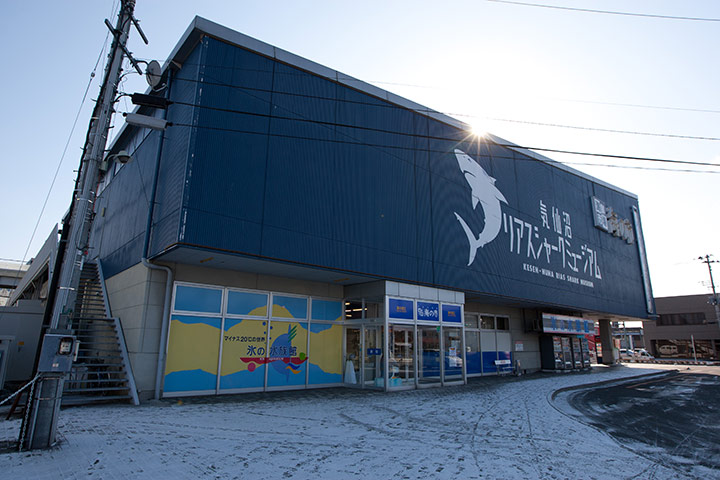 Shark fishing: The Rias shark musuem in Kesennuma